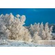 Рекламен 15 листов календар Пейзажи от България 2026