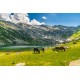 Многолистов едносекционен календар Планини 2027
